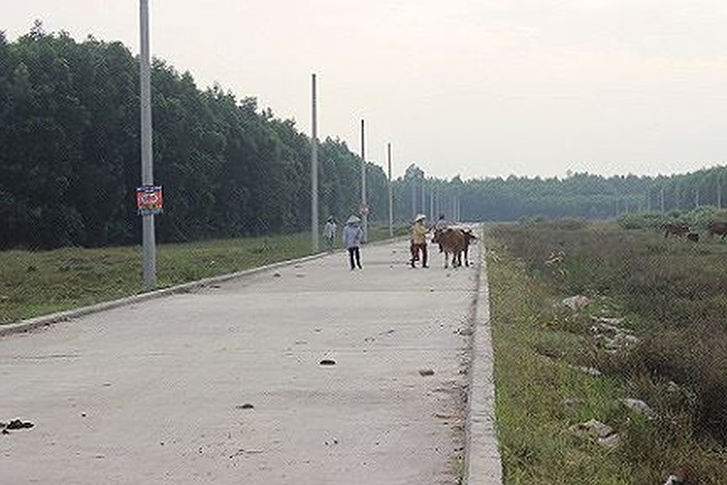 Công ty Alibaba tự vẽ hàng chục dự án