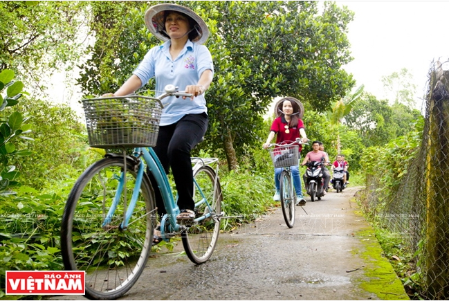 Đạp xe quanh cù lao, dọc hai bên đường có rất nhiều hoa và cây ăn quả.