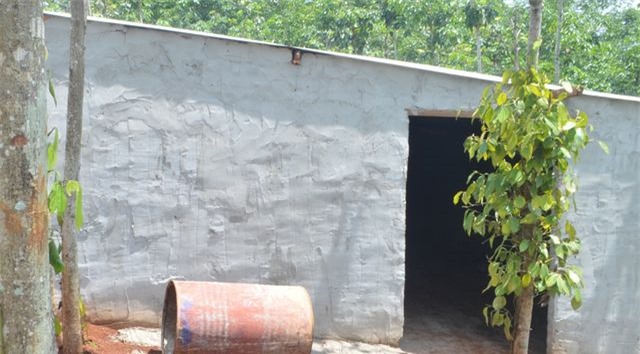 Một căn nhà mới dựng, chỉ có duy nhất một lối vào, nằm giữa rẫy của người dân.