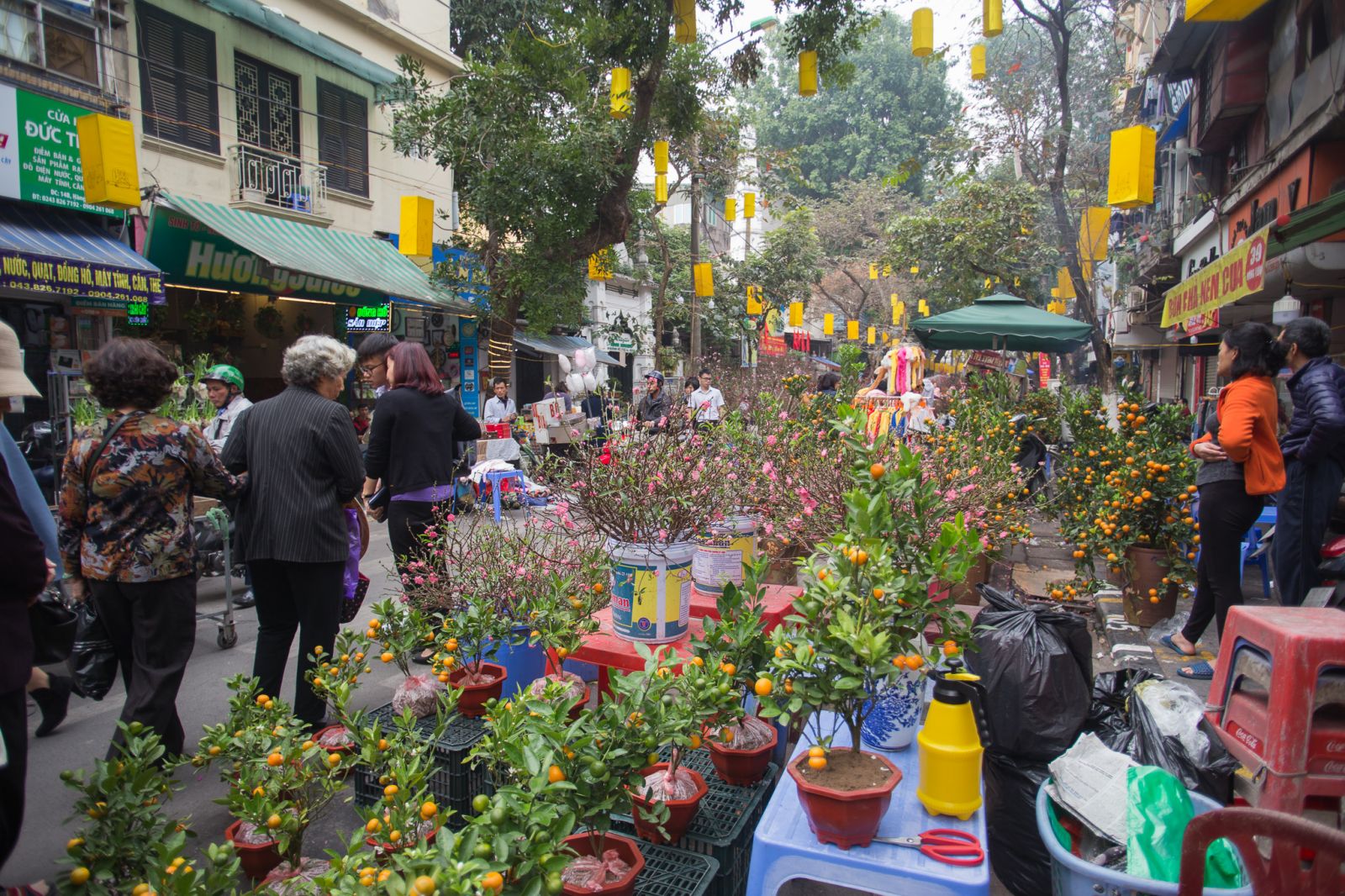 Chợ hoa Hàng Lược càng những ngày giáp Tết lại càng tấp nập, nhộn nhịp