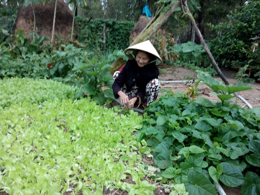 Ảnh minh hoạ