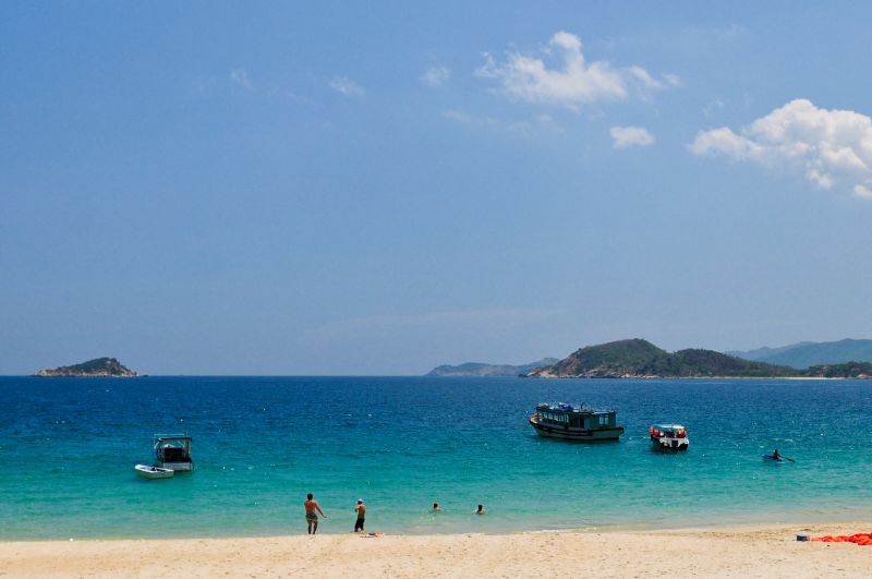 Những năm gần đây