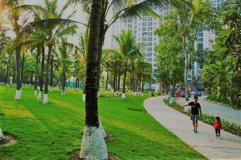 Lấp lánh hạnh phúc