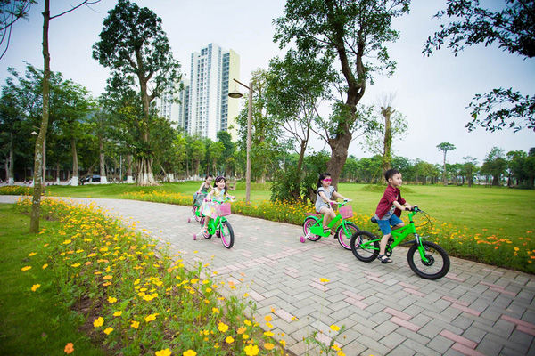 Lấp lánh hạnh phúc