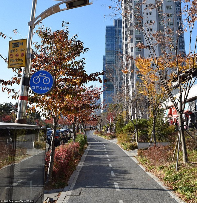 Songdo – Thành phố thông minh từ thị trấn hoang