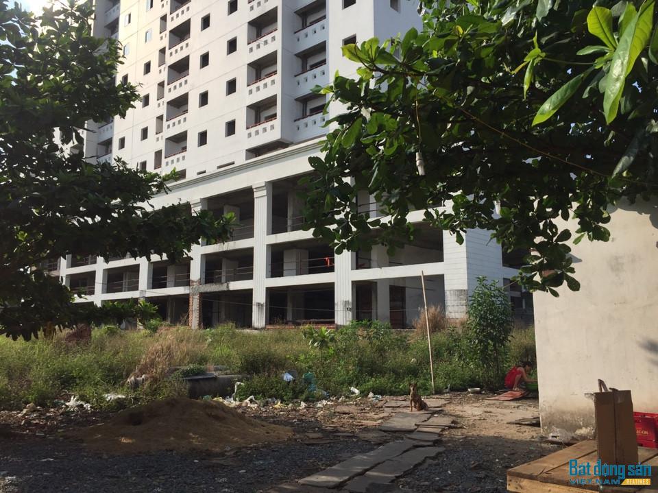 Dự án nhiều năm liền bỏ hoang cỏ mọc um tùm.
