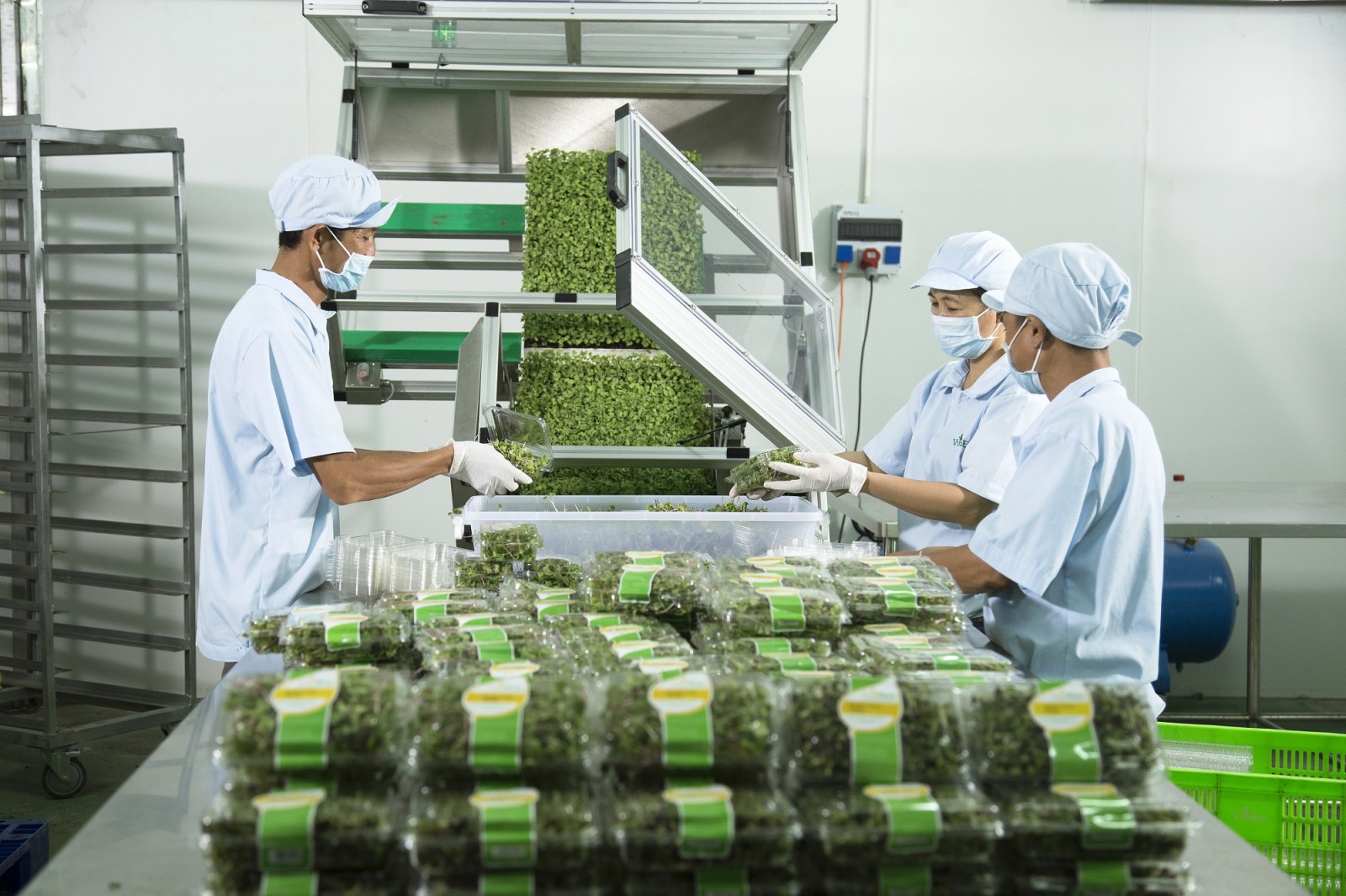 hiệu quả thu hút doanh nghiệp đầu tư vào nông nghiệp, còn