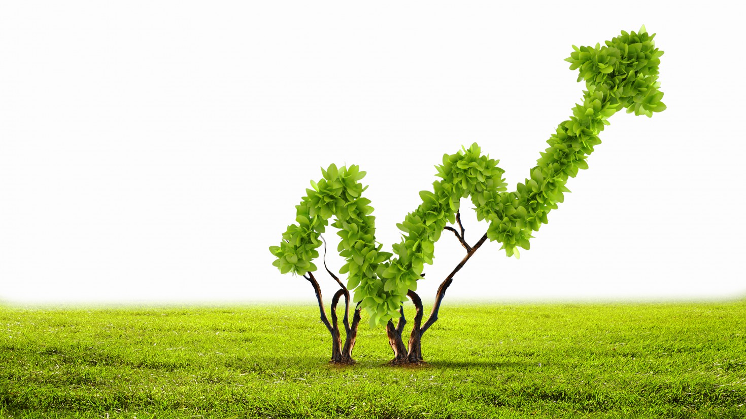 Trái phiếu xanh: Một giải pháp cho đầu tư bền vững tại Việt Nam Hai mục tiêu phát triển và bảo vệ hoàn toàn có thể được cùng thực hiện với trái phiếu xanh