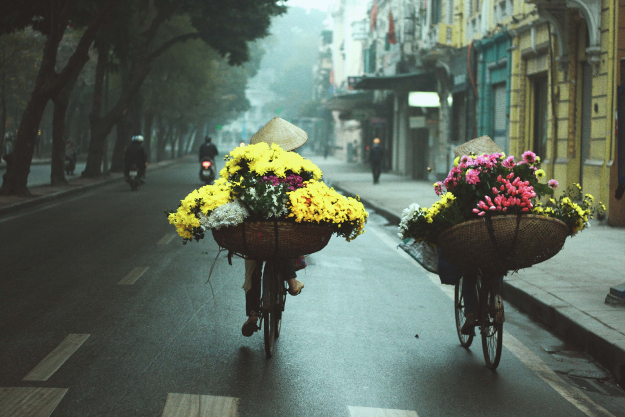 Dự báo thời tiết ngày 11/1/2019 chính xác nhất. Ảnh minh họa.