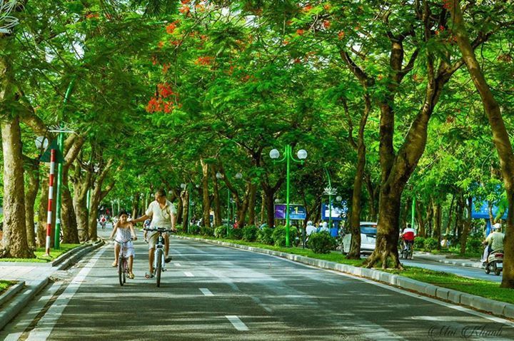 Thơ mộng Cổ Ngư...