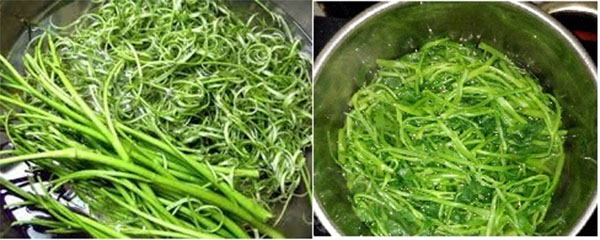 Rau muống, một loại rau thuộc loại