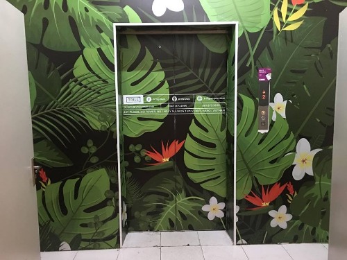 Thang hàng sử dụng đưa khách cho Trill Group