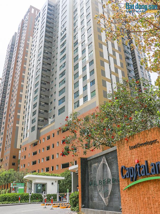 Khu đô thị cao cấp Mulberry Lane