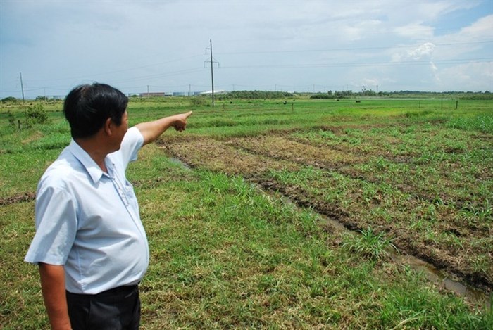 Dự án khu đô thị - Đại học Quốc tế (VIUT) sau 10 năm vẫn chỉ là bãi cỏ hoang.