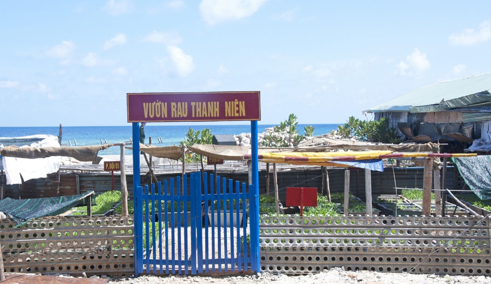 Vườn rau thanh niên ở Đảo đá Đông A được dựng lên giữa trùng khơi sóng nước.