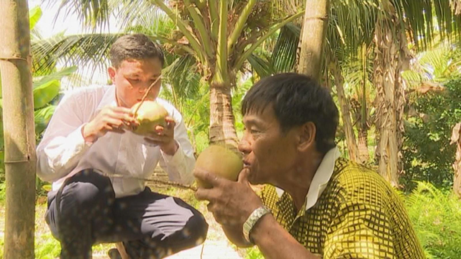 Thưởng thức nước dừa tại homestay Sáu Lế